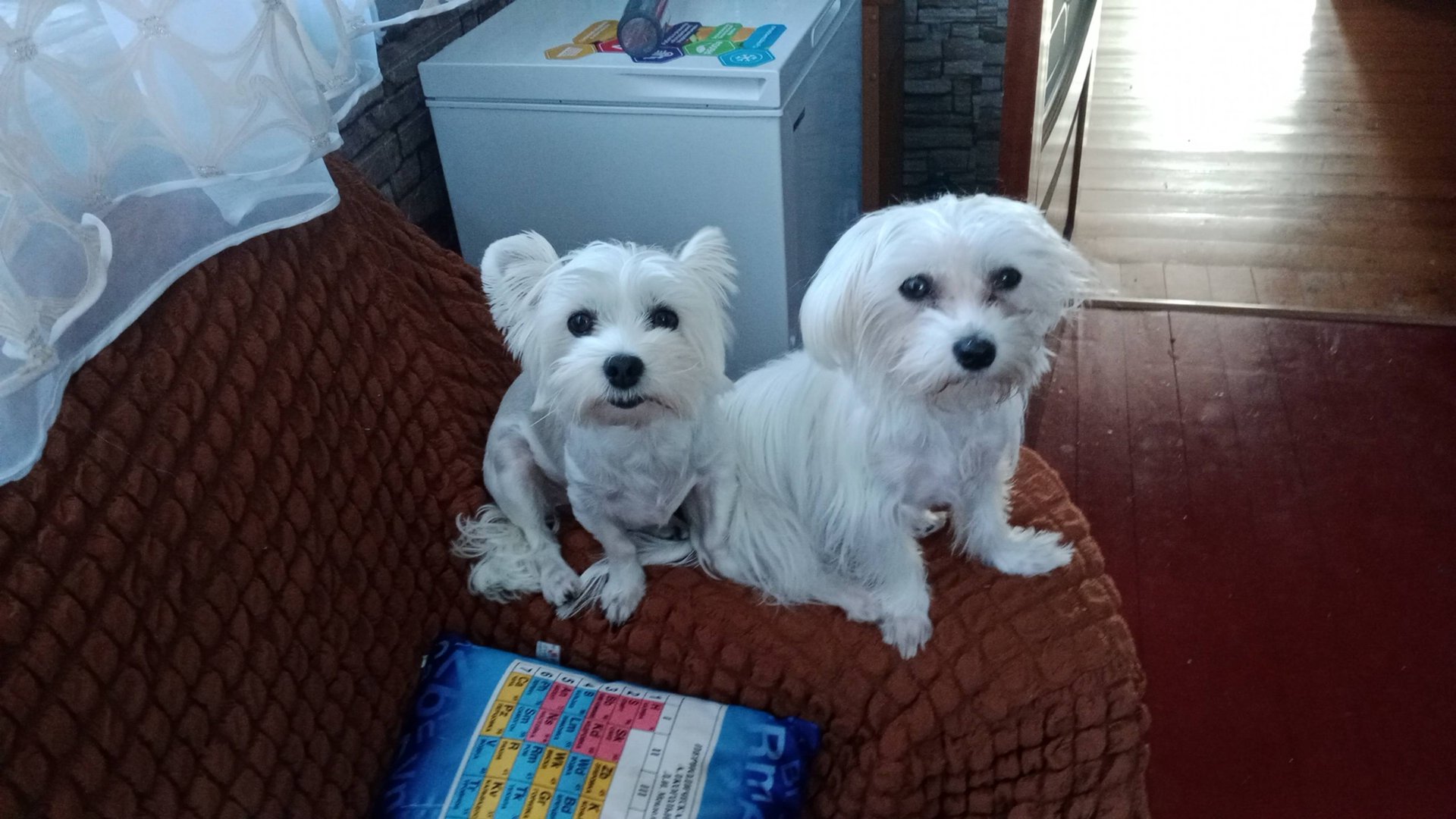 Мои любимые куклята!!! смотреть онлайн