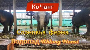 14 серия. Выселяемся из отеля Centara и навестив слонов отправляемся к водопаду Клонг Нонси.