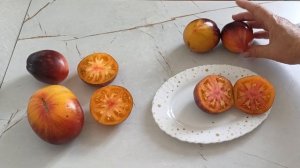 Вкуснейшие сорта томатов Софии Сааковой в разрезе.11.09.2025