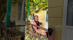 Архипо-Осиповка, гостевой дом «Фламинго» #архипка #снятьжилье #тудагдеморе