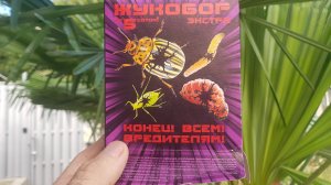 Препарат Жукобор против пальмового бурильщика.