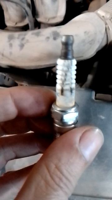 Форд фокус дёргается смотреть онлайн