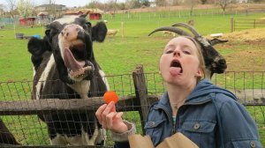 Я ржал до слез 😂 5 Минут смеха 2025 Смешные видео Лучшие Лютые ПРИКОЛЫ Сентября! Подборка