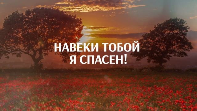 Живем в этом мире надеждой смотреть онлайн