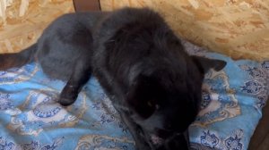 ВЕНЯ ПРИЕХАЛ НА РЕНГЕН