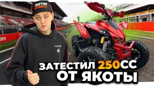 Спортивный квадроцикл на МЕХАНИКЕ - Yacota Typhoon 250 LD
