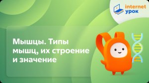 Биология 8 класс. Мышцы. Типы мышц, их строение и значение