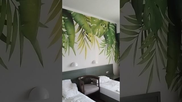 Абхазия, Самшитовая Роща, сентябрь 25г