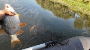 Рыбалка на Оке на пшеницу и кукурузу в сентябре.