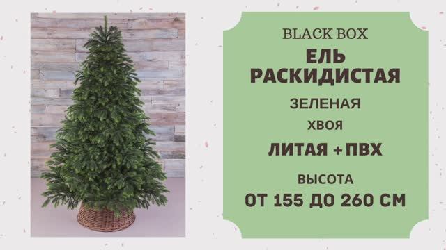 Black Box - ОБЗОР искусственной ели Раскидистая зеленая смотреть онлайн