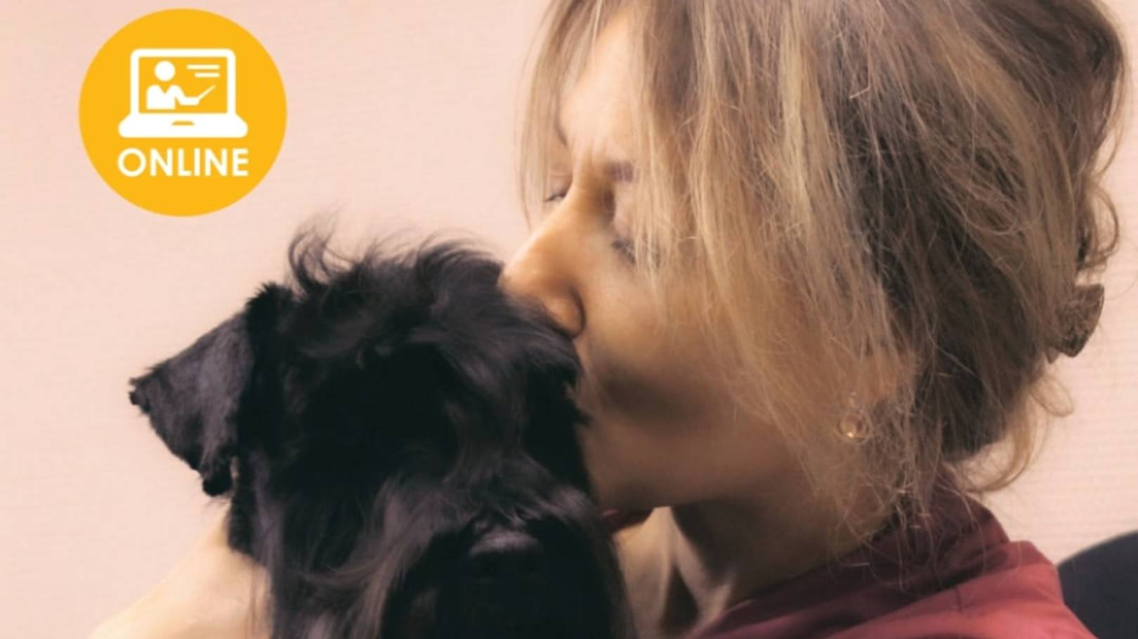 ОБУЧЕНИЕ В ATCVM 2025-2026