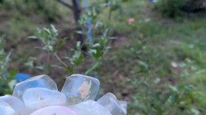 Как я люблю готовить вкусные блюда!  И все про меня и мою жизнь и мечты !