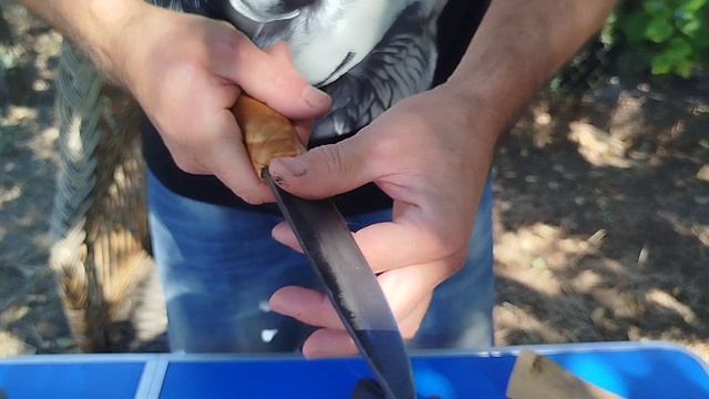 Спарка-огонь смотреть онлайн