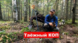 Поиск МЕТАЛЛА на лесовозных ЖЕЛЕЗНЫХ ДОРОГАХ СССР. Копаю РЕЛЬСЫ и ЛЕНТЫ ТРАКОВ!