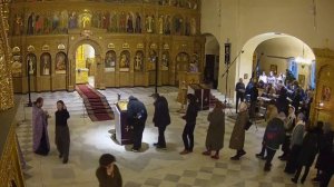 Прямая трансляция