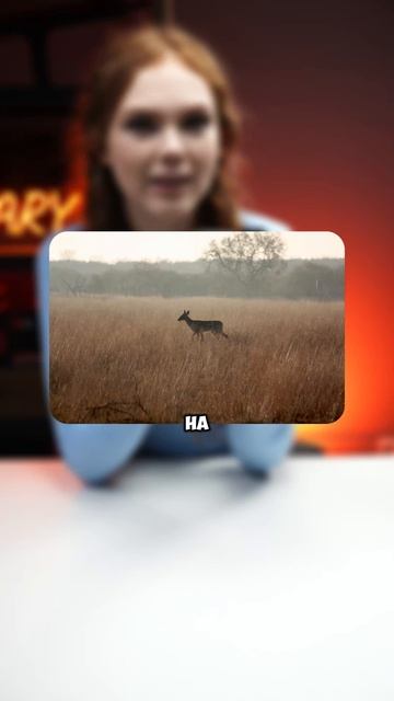 КОГДА БОЛЬШЕ – ЗНАЧИТ ХУЖЕ? #тепловизор #охота #тепловизордляохоты #оружие #патрон смотреть онлайн