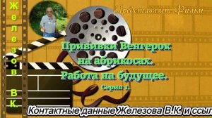 Прививки Венгерок на абрикосах. Работа на будущее. Серия 1.