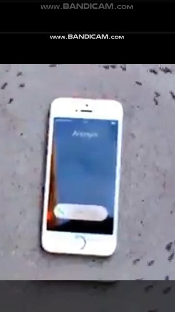 Реакция на звонок. Представьте, что творится с нашим мозгом смотреть онлайн