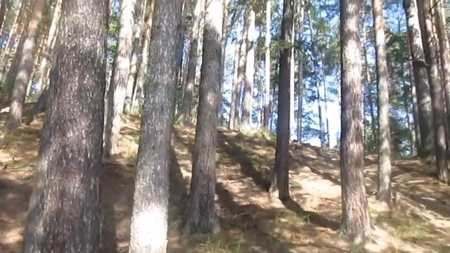 Когда со мной такая женщина - Автор Лариса Рубальская музыка Галина Любчич поёт Вячеслав Чен смотреть онлайн