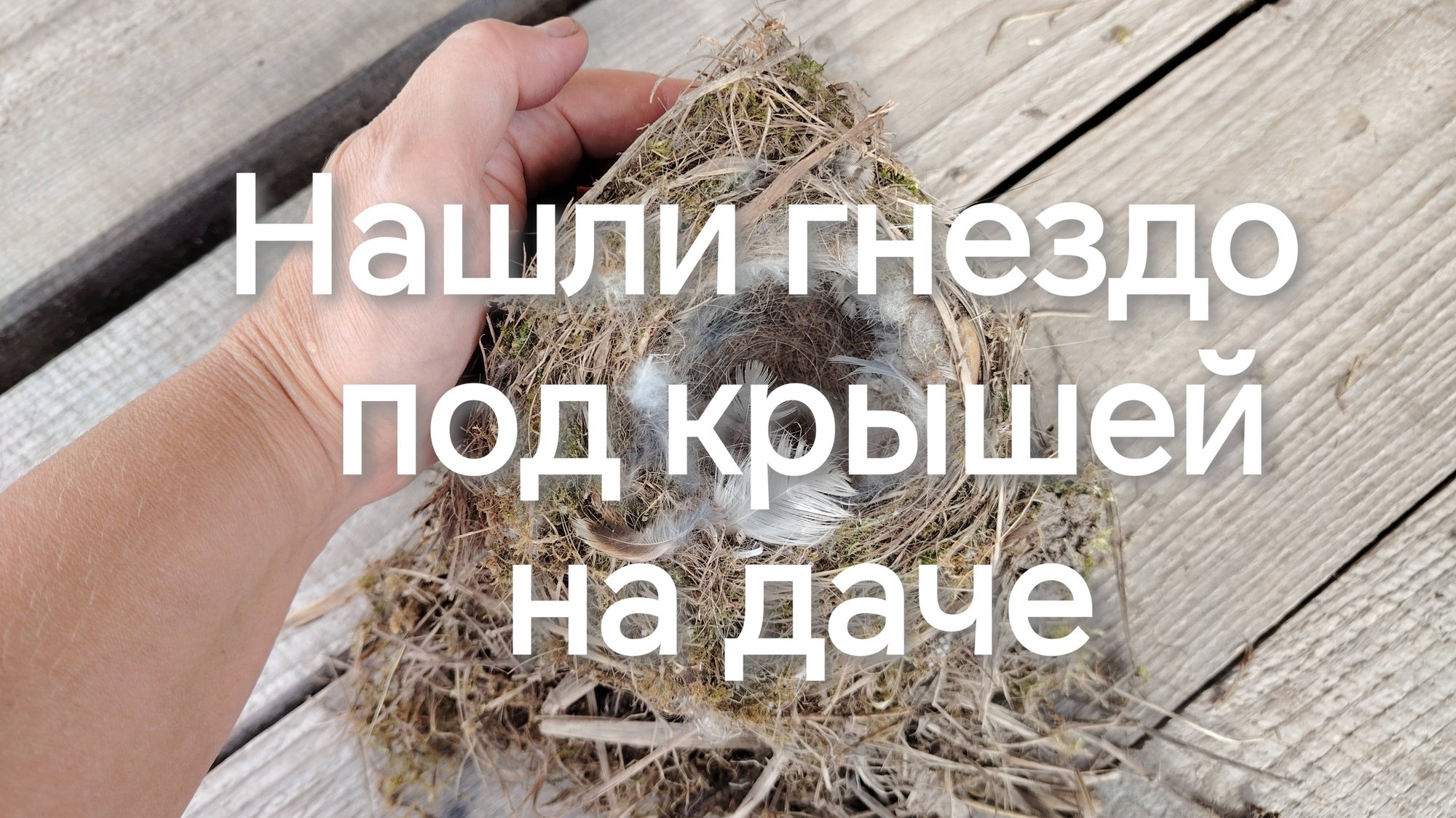 Интересная #находка! смотреть онлайн