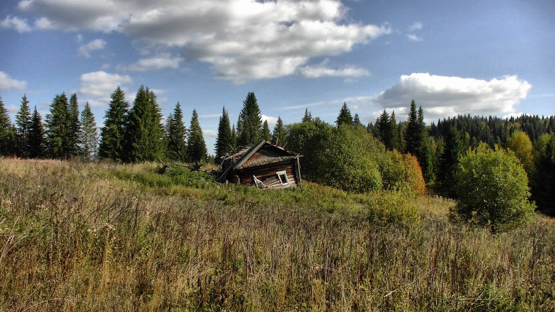 Разведка в глухомани #533 смотреть онлайн