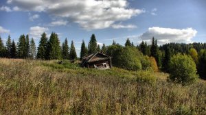 Разведка в глухомани #533