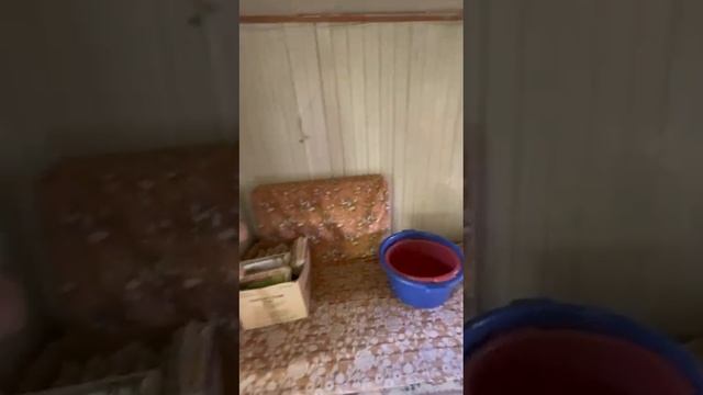 115303 смотреть онлайн