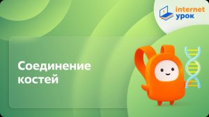 Биология 8 класс. Соединение костей