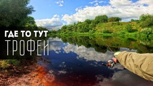 🐟Живописные перекаты и Душевные Окуни! #мормышинг #рыбалка