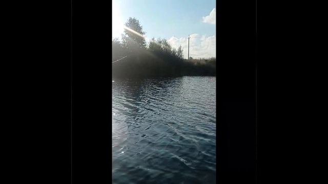 дача у озера