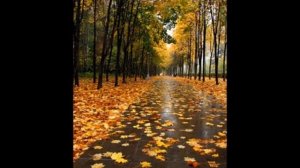 Надежда Кадышева Премьер Министр ПЛАЧЕТ ДОЖДИК.mp4