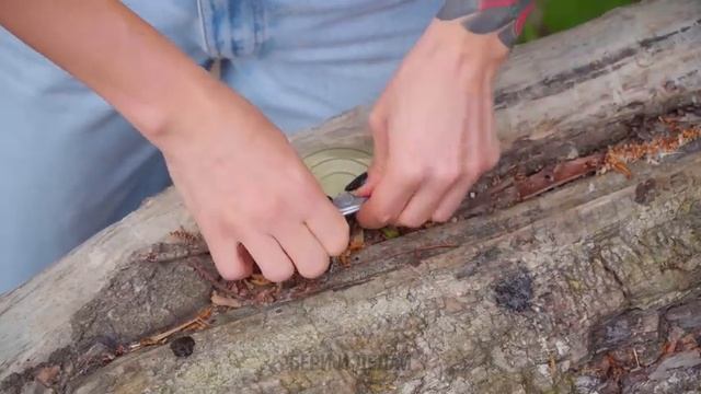 КАК ВЫЖИТЬ В ЛЕСУ? Умные Лайфхаки для Кемпинга и Инструменты ️️ смотреть онлайн