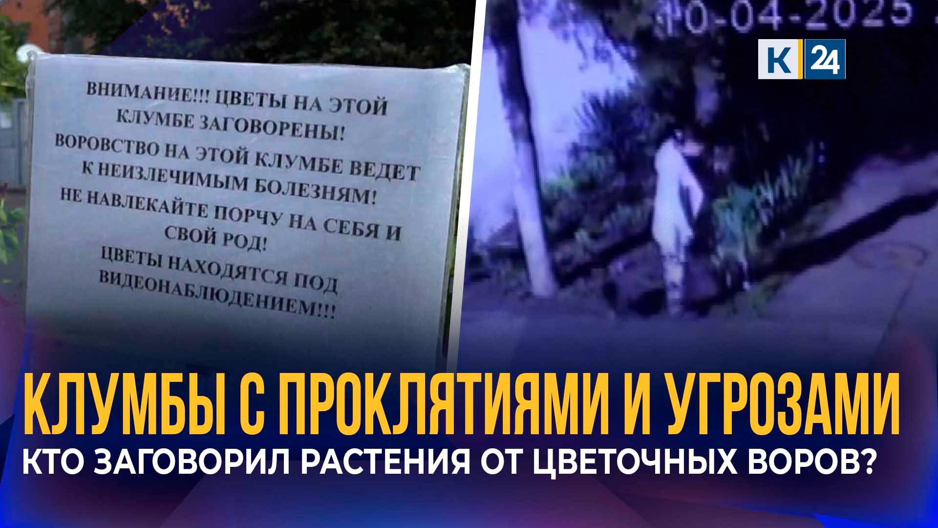 Суровое предупреждение заметили на клумбах на улице Фрунзе в Краснодаре смотреть онлайн