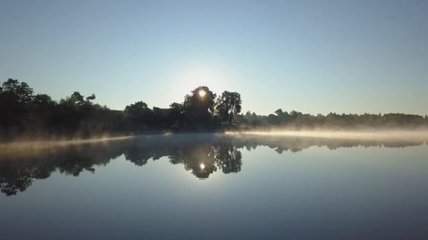 Activity Village Виды