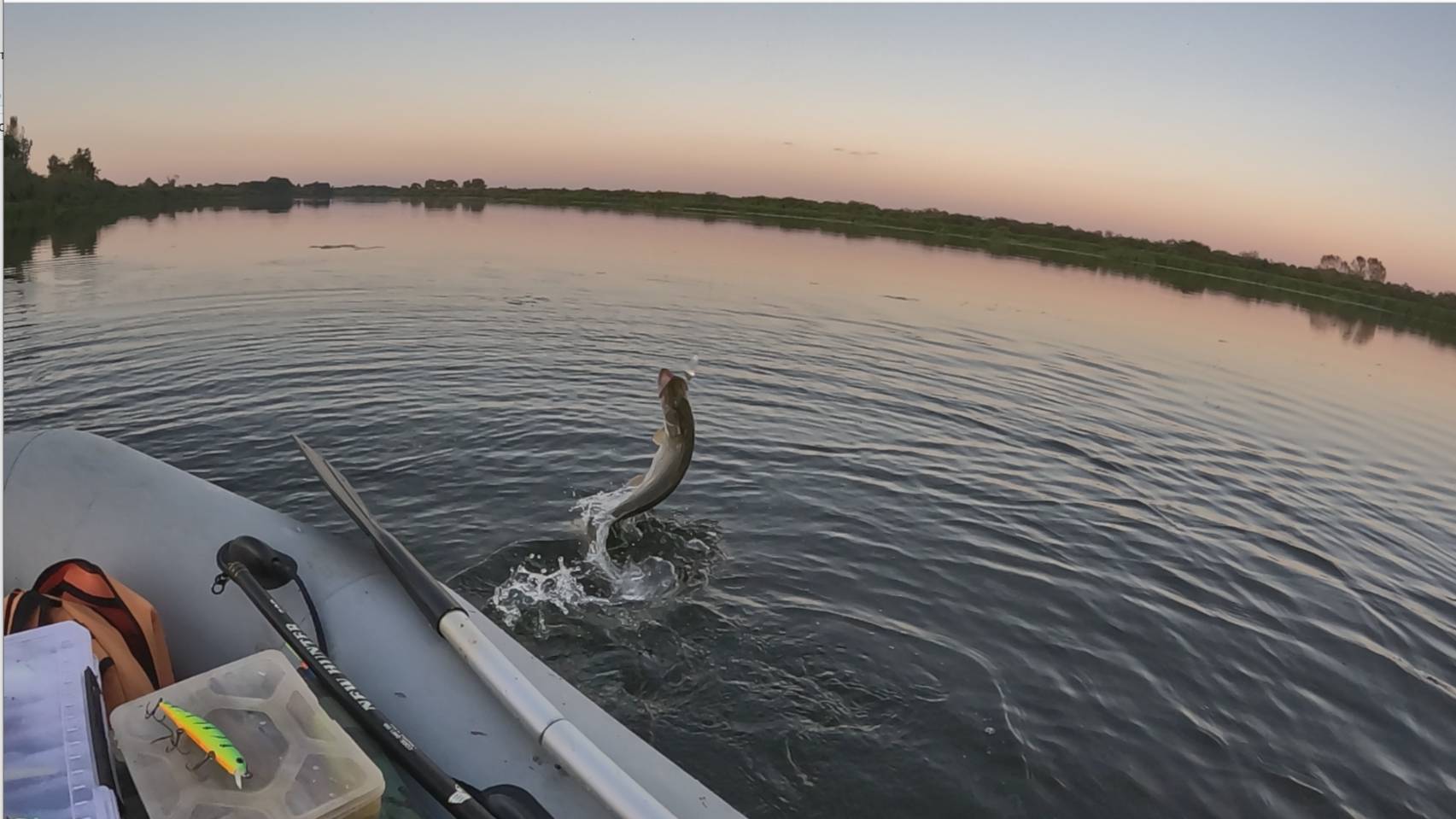 Рыбалка в сентябре 2025 ЩУКА и СУДАК на СПИННИНГ. КРАСНОПЕРКА на ПОПЛАВОК в сентябре. смотреть онлайн