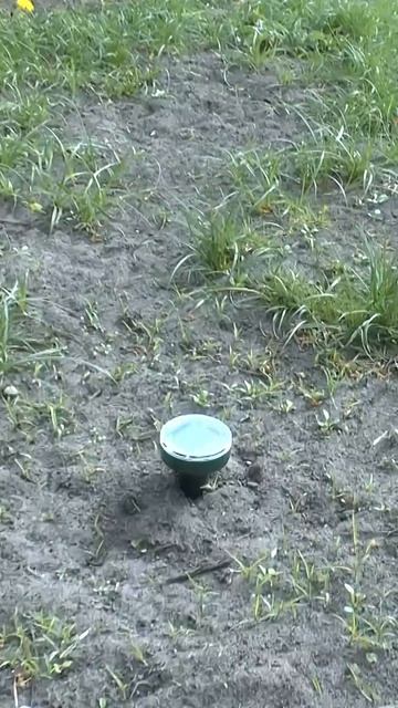 ЗАБУДЬТЕ О КРОТАХ! Есть неожиданный и точно рабочий способ борьбы с кротами! смотреть онлайн