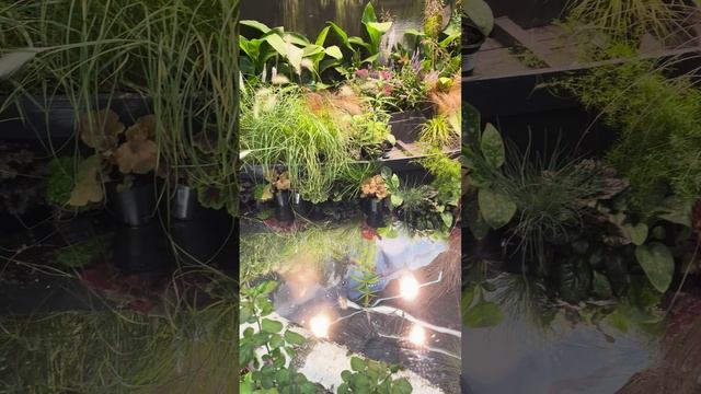 Flowers Expo 2025. Международная выставка цветов и растений в Москве.