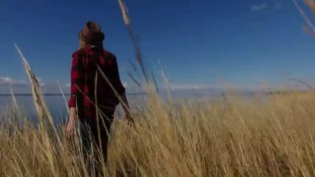 ПРЕКРАСНАЯ ПЕСНЯ - МОЙ ТОЛЬЯТТИ - ДИАНА НАСЫРОВА смотреть онлайн