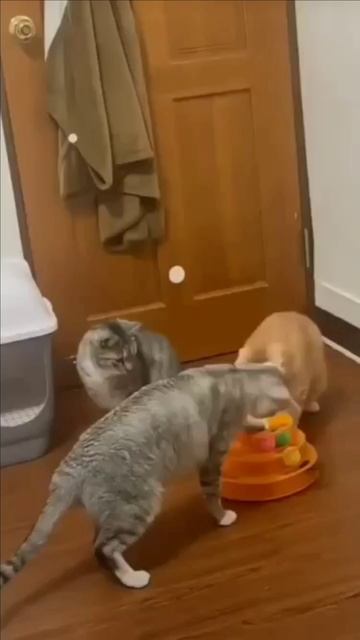 Всех напугал смотреть онлайн