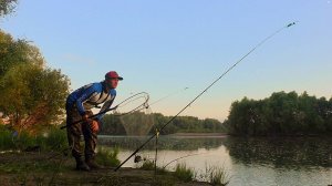 УЕХАЛ НА РЫБАЛКУ ОДИН! Закинул на ЖИВЦА и ПОЛУЧИЛОСЬ ЭТО! Ночная рыбалка 2025