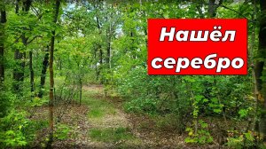 Нашёл много монет и даже серебро с помощью металлоискателя Skycruiser S63.