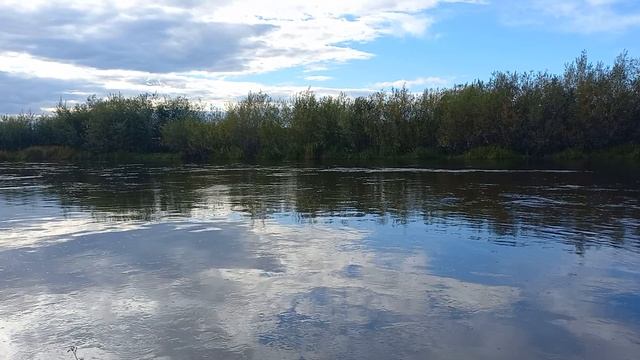 ТОНКИЕ ПРИЧИНЫ САХАРНОГО ДИАБЕТА смотреть онлайн