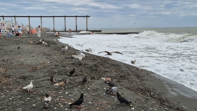 Разборки на пляже