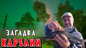 МЫ ПРОСТО СТОЯЛИ И МОЛЧА СМОТЕРЛИ НА НЕБО! ЗАГАДКА КАРЕЛИИ.