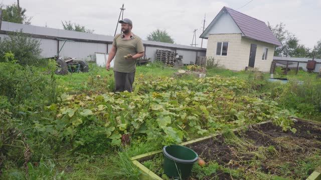 ДО ДЕКАБРЯ ВЫРАЩИВАЮ ОВОЩИ В СИБИРИ БУДУ СОБИРАТЬ ПОМИДОРЫ И ОГУРЦЫ ДО ЗИМЫ БЕЗ ТЕПЛИЦЫ смотреть онлайн