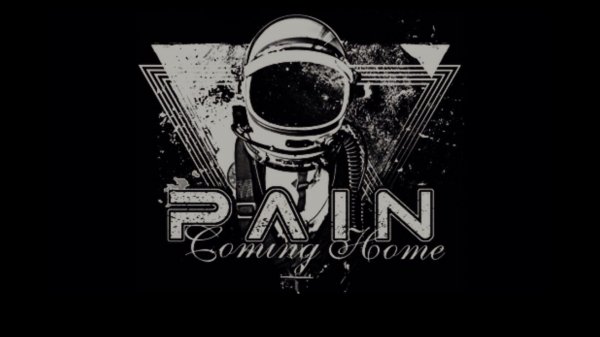 PAIN - Pain In The Ass(Instrumental Cover)