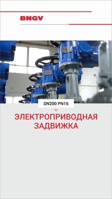 DN200 PN16 Нержавеющий шаровой клапан с червячным-BNGV