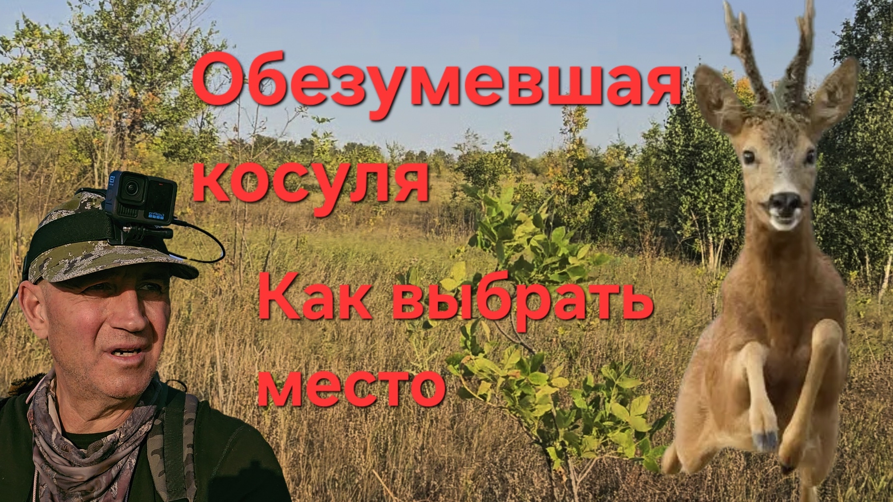 Гон-охота на косулю. обезумевшая косуля. выбор места номера. смотреть онлайн