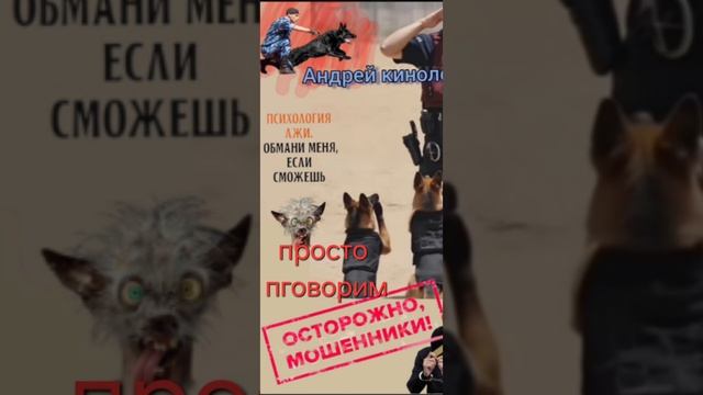 Стебемся над продлевателями 404 смотреть онлайн