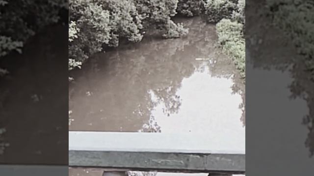 37 BALDBADGERZ type beat